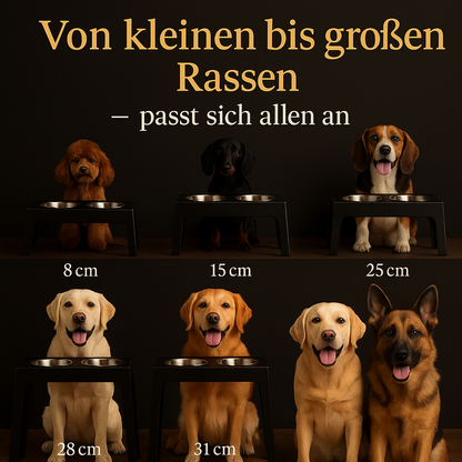 Erhöhter Futternapf für Hunde – Korrekte Haltung bei jeder Mahlzeit
