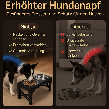 Erhöhter Futternapf für Hunde – Korrekte Haltung bei jeder Mahlzeit