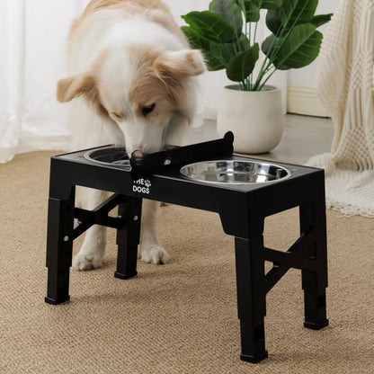 Erhöhter Futternapf für Hunde – Korrekte Haltung bei jeder Mahlzeit