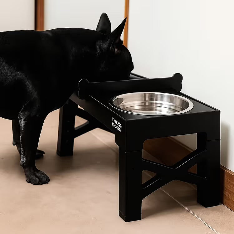 Erhöhter Futternapf für Hunde – Korrekte Haltung bei jeder Mahlzeit