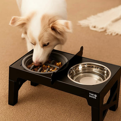 Erhöhter Futternapf für Hunde – Korrekte Haltung bei jeder Mahlzeit