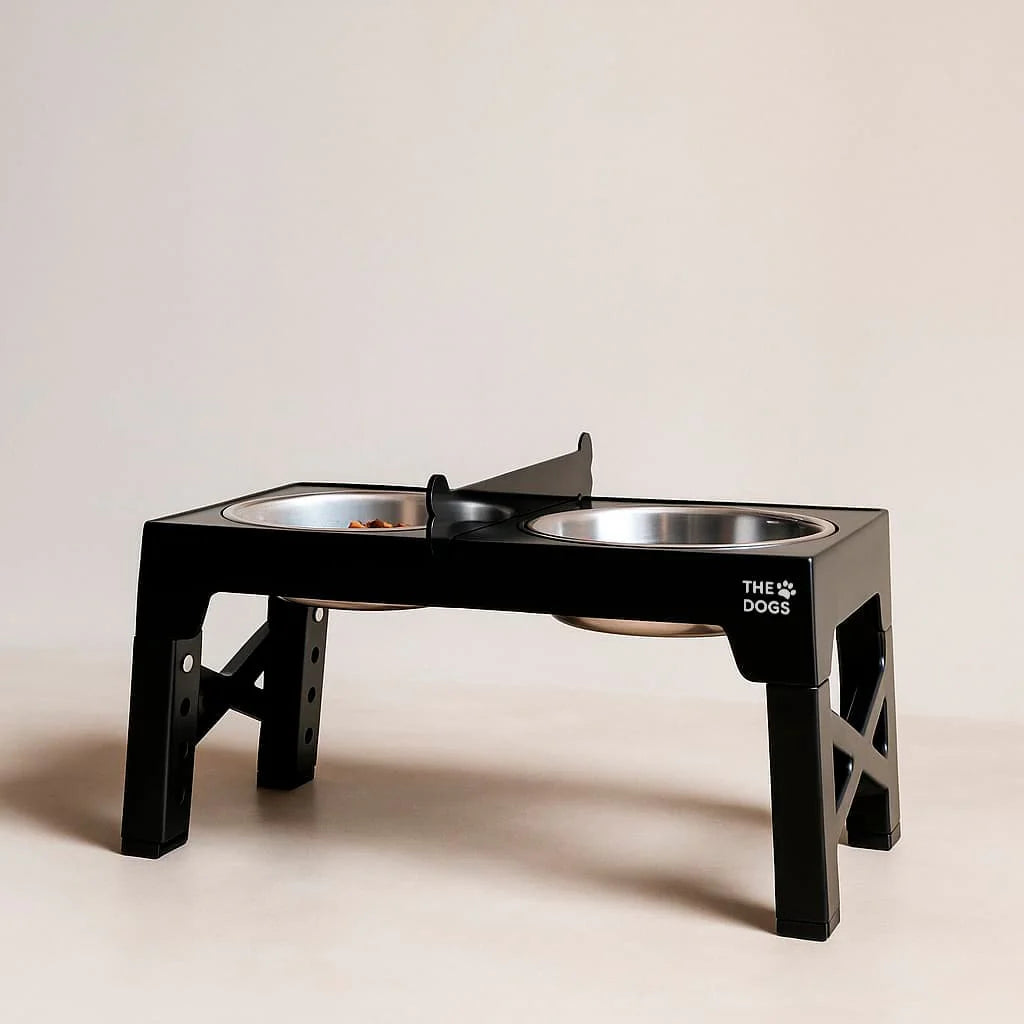 Erhöhter Futternapf für Hunde – Korrekte Haltung bei jeder Mahlzeit